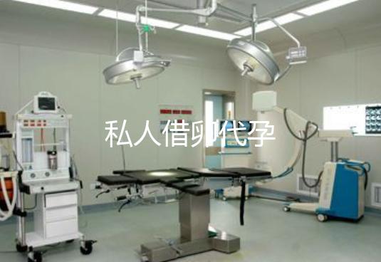 私人借卵代孕