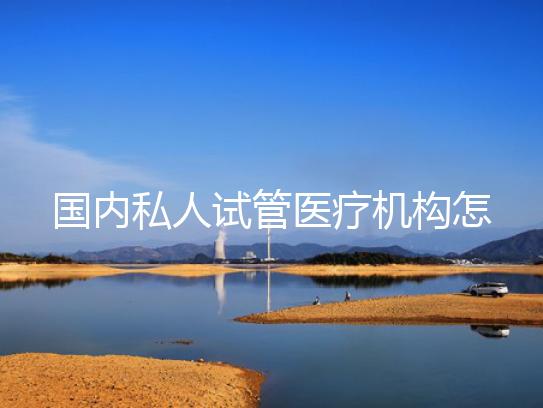 国内私人试管医疗机构怎么联系