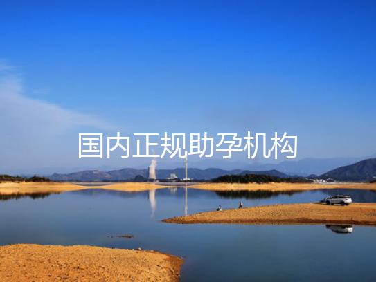 国内正规助孕机构