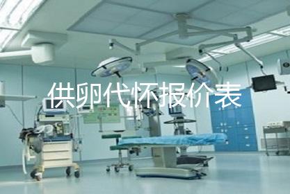 供卵代怀报价表