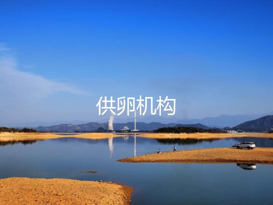 供卵机构