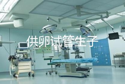 供卵试管生子