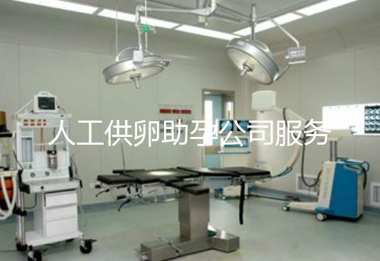 人工供卵助孕公司服务