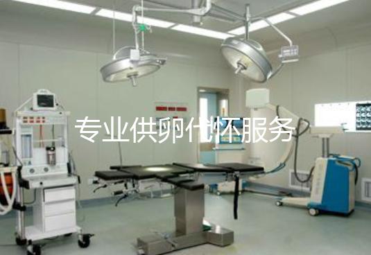 专业供卵代怀服务