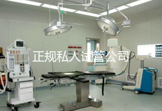 正规私人试管公司